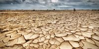 Sahara droogte