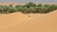 Sahara zand